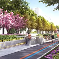 Scenic Urban Path With Pink Cherry Blossoms Colorful Bike Lanes And Greenery