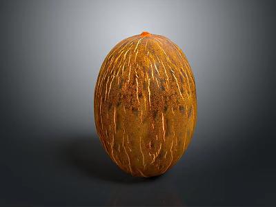 Whole Ripe Orange Cantaloupe Displaying Ribbed Texture on Smooth Shiny Surface 3d model