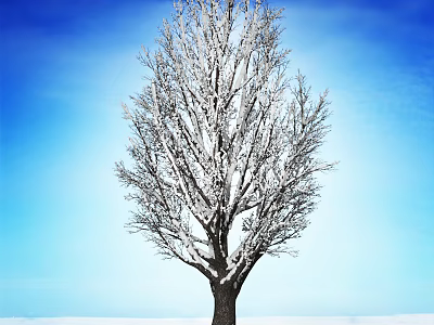 Snow Covered Arbor Against Clear Blue Sky In Winter Landscape 3d model
