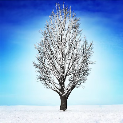 Snow Covered Arbor Against Clear Blue Sky In Winter Landscape 3d model