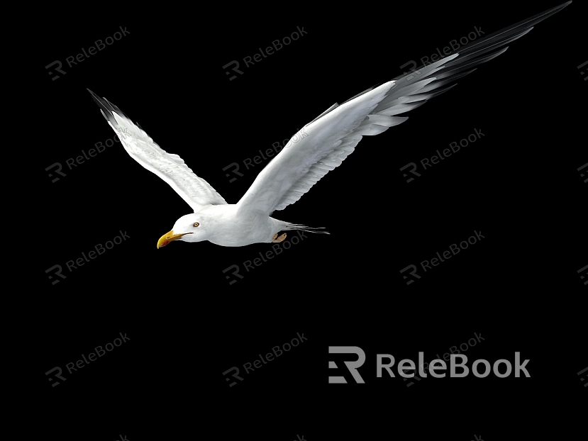 modern seagull model