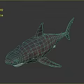 Realistic Marine Shark With Sharp Teeth Dorsal Fin And Streamlined Body Features 3d model