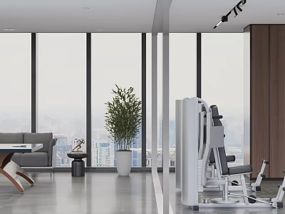 Modern Spacious Interior with Large Windows City View Gray Sofa Green Plant and Fitness Equipment 3d model