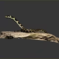snake cobra venomous snake python reptile cold-blooded animal reptile 3d model