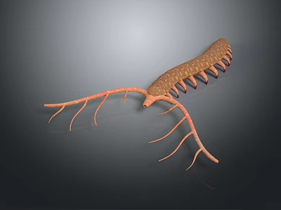 Bugs Animal Game Animal Cartoon Animal Animal Realistic Animal Realistic 3d model