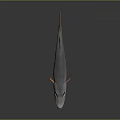 3D Fish Model With Gray Body Orange Fins And Tail Long Snout And Yellow Eyes