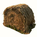 Round Dry Hay Bale In Agricultural Field With Natural Straw Texture