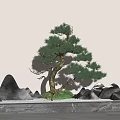 Garden Ornament With Curved Pine Tree Rock Formations Green Grass And Marble Floor