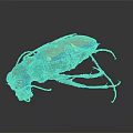 Vibrant Colorful Beetle Displaying Blue Orange Green Iridescent Shell against Dark Background