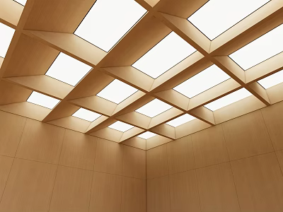 Modern Wooden Ceiling Design With Square Skylights And Paneled Interior Walls 3d model