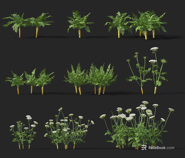 Different Types of Fresh Vegetable Plants With Green Leaves and White Flowers 3d model 