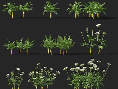 Different Types of Fresh Vegetable Plants With Green Leaves and White Flowers 3d model