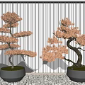 Bonsai Plants with Orange Brown Foliage in Grey Pots on White Pebbles Against Striped Screen