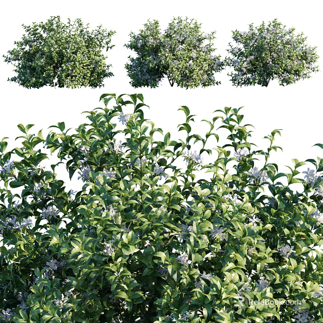 Lush Green Garden Shrubs With Dense Foliage And Purple Flowers 3d model 