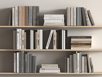 Books Newspapers and Notebooks 3d model