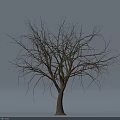 Leafless Wooden Tree Trunk With Natural Texture Against White Background 3d model