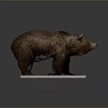Realistic Brown Bear Model Standing On Red Base Display Platform