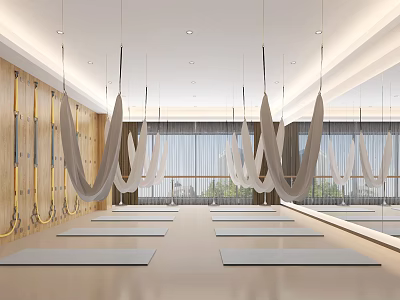 Bright Yoga Practice Room with Hammocks Mats Wooden Walls Large Windows and Mirrors 3d model