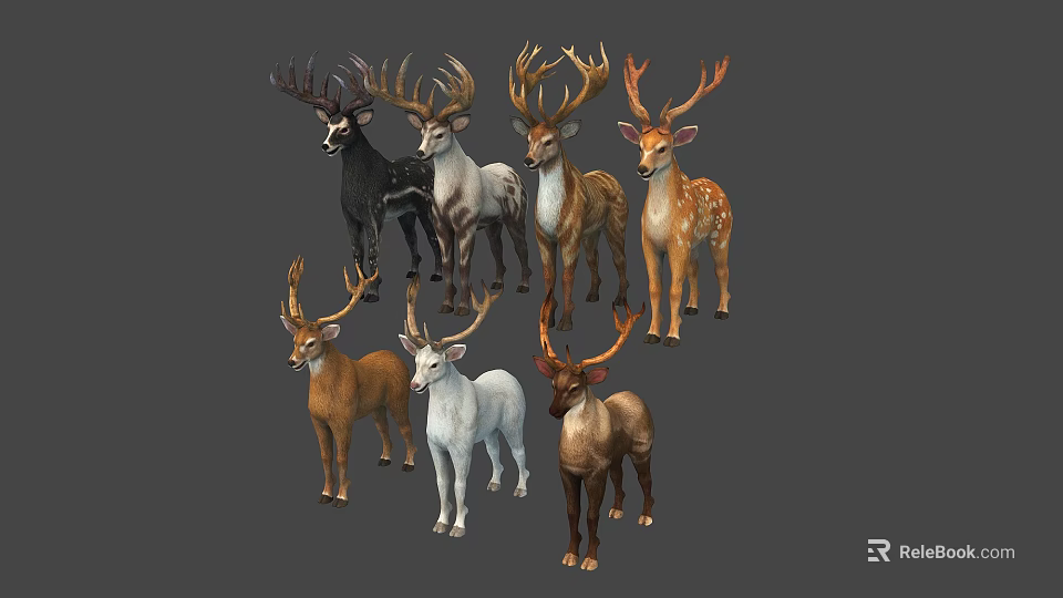 Various Deer Species With Different Antlers And Coat Colors In Standing Poses 3d model 