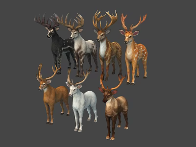 Various Deer Species With Different Antlers And Coat Colors In Standing Poses 3d model