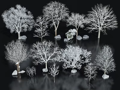 Multiple Deciduous Trees with Bare Branches Stones and Reflections on Black Background 3d model