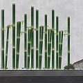 Green Bamboo Poles Arrangement With White Pebbles And Small Plants In Modern Setting