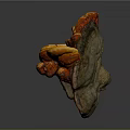 Fresh Organic Ganoderma Mushroom With Natural Shape And Vibrant Colors