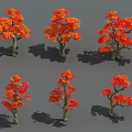 Arbor With Vibrant Orange Red Leaves And Natural Autumn Tree Shapes