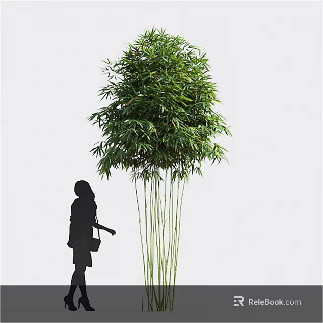 Tall Lush Green Bamboo Plant With Human Silhouette Standing Beside It 3d model 