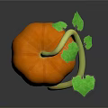 Fresh Orange Pumpkin with Green Vine and Leaves on Dark Background