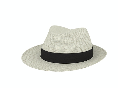 Hat Straw Hat 3d model