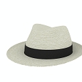 Hat Straw Hat 3d model