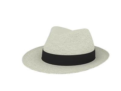 Stylish Light Beige Straw Hat With Black Ribbon Band For Summer Wear 3d model Stylish Light Beige Straw Hat With Black Ribbon Band For Summer Wear 3d model