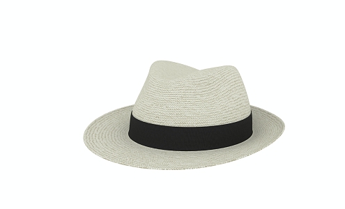 Hat Straw Hat 3d model