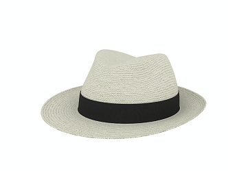 Hat Straw Hat 3d model