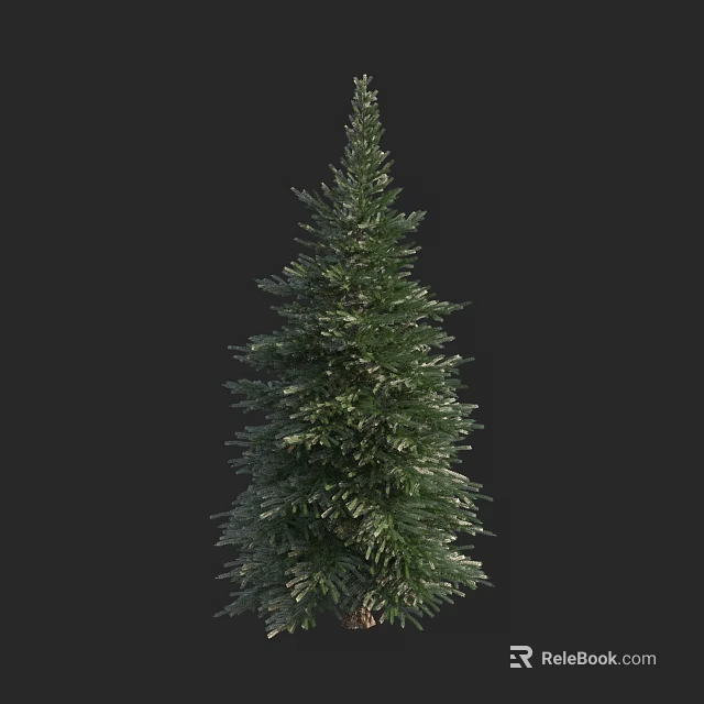 Tall Evergreen Arbor With Dense Foliage Isolated On Black Background 3d model 