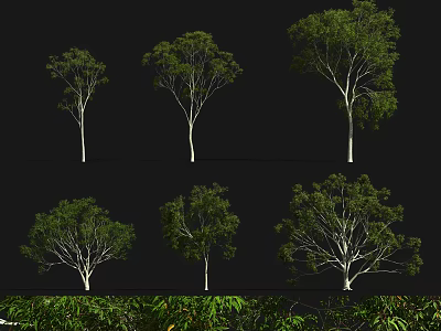 Various Shaped Arbor Trees With Green Leaves And White Trunks In Landscape Design 3d model