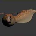 Realistic 3D Rendering Of Pink Spotted Creature With Long Snout Tail And Fins