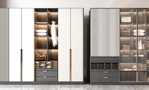 Modern wardrobe combination 3d model