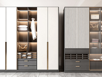 Modern wardrobe combination 3d model