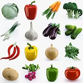 Fresh Colorful Vegetables With Bell Peppers Broccoli Cucumber Garlic And Eggplant