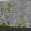 Tranquil Courtyard Garden Featuring Gray Stone Wall Wall Lights Trees Round Lights And Mossy Grass