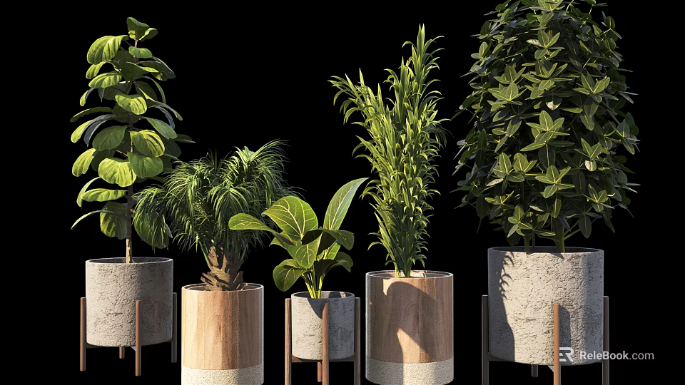Decorative Bonsai Potted Plants With Various Greenery In Wooden And Cement Pots 3d model 