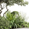 Modern Other Plants Outdoor Landscape Garden Backyard 3d model