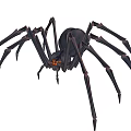 spider insect model 3d model