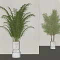 Bonsai Potted Plants with Lush Green Foliage in White Stacked Planters and Minimalist Gray Background