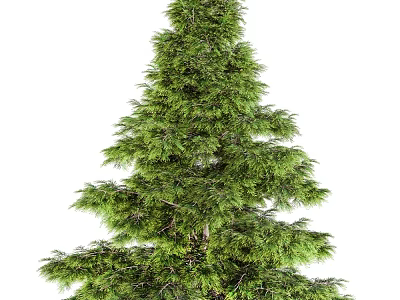 Garden Landscape With Tall Lush Evergreen Tree And Vibrant Green Foliage 3d model