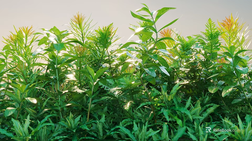 Vibrant Sunlit Shrubs With Lush Green Leaves And Diverse Foliage Types 3d model 
