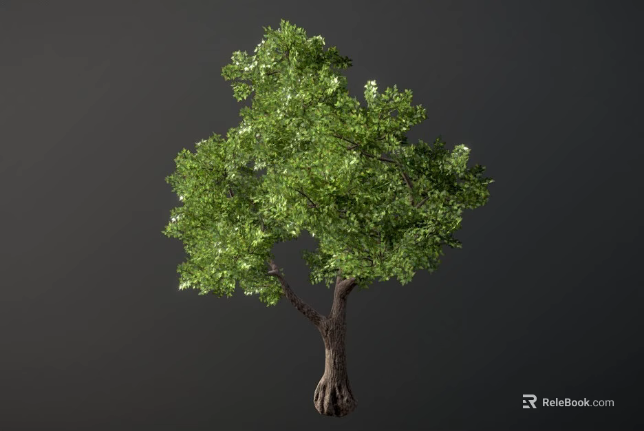 Lush Green Arbor With Thick Trunk And Visible Roots In Dark Background 3d model 