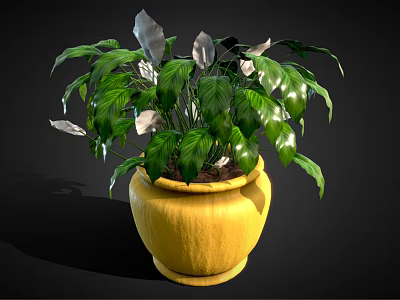 Lush Indoor Plant With Green And Silver Leaves In Yellow Pot 3d model